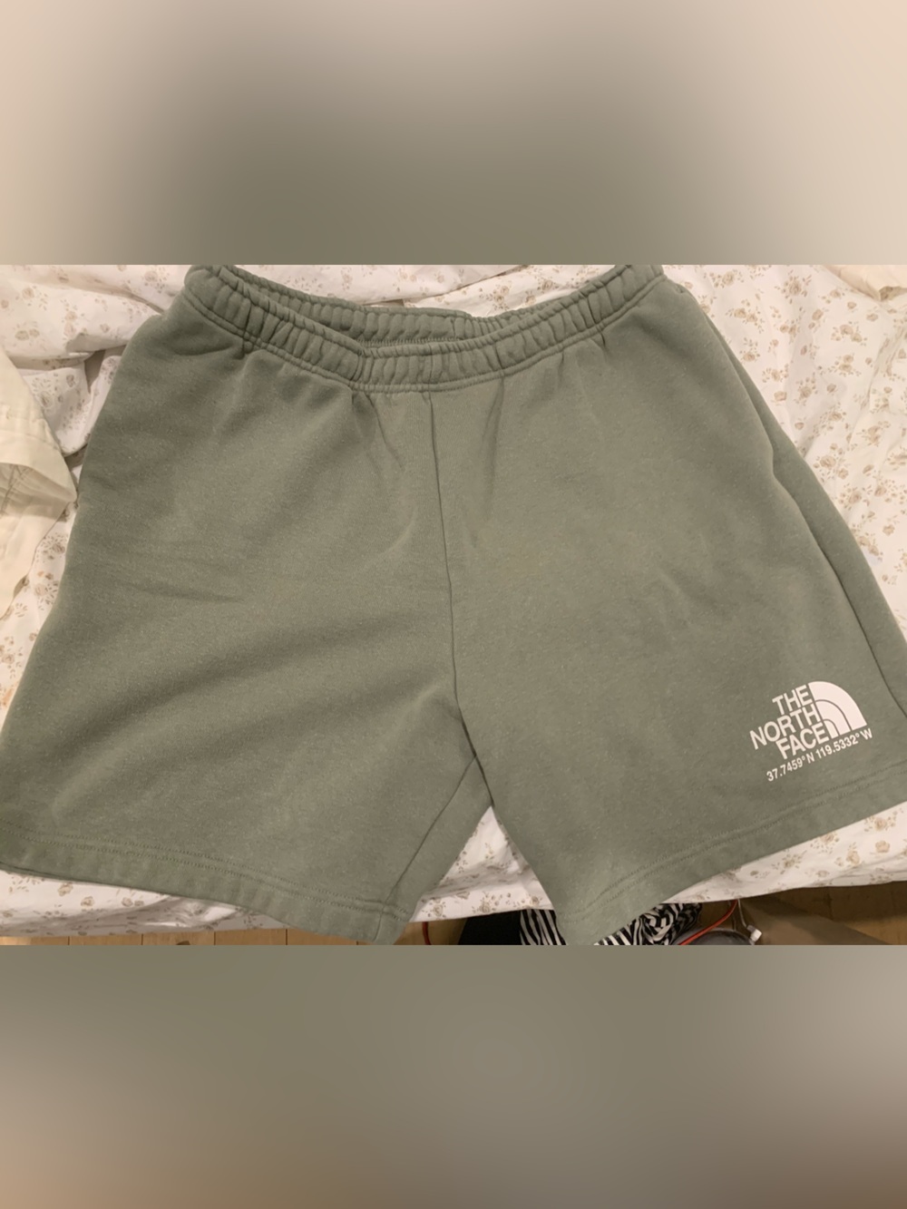 The North Face Olive Green Athletic Shorts